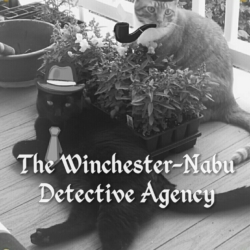 Cats photoshopped as noir detectives