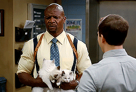sgt terry jeffords 