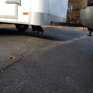 Gus inspecting the NY trailer