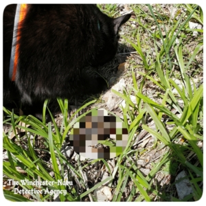 Gus close to the curled up snake in the grass pixelated