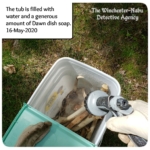 bucket of bones from jersey devil-deer skeleton cleaning