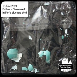 blue egg shells in plastic bag