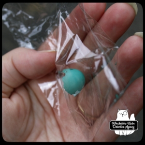 blue egg shell in plastic in hand