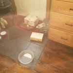 kitchen disaster from mousing