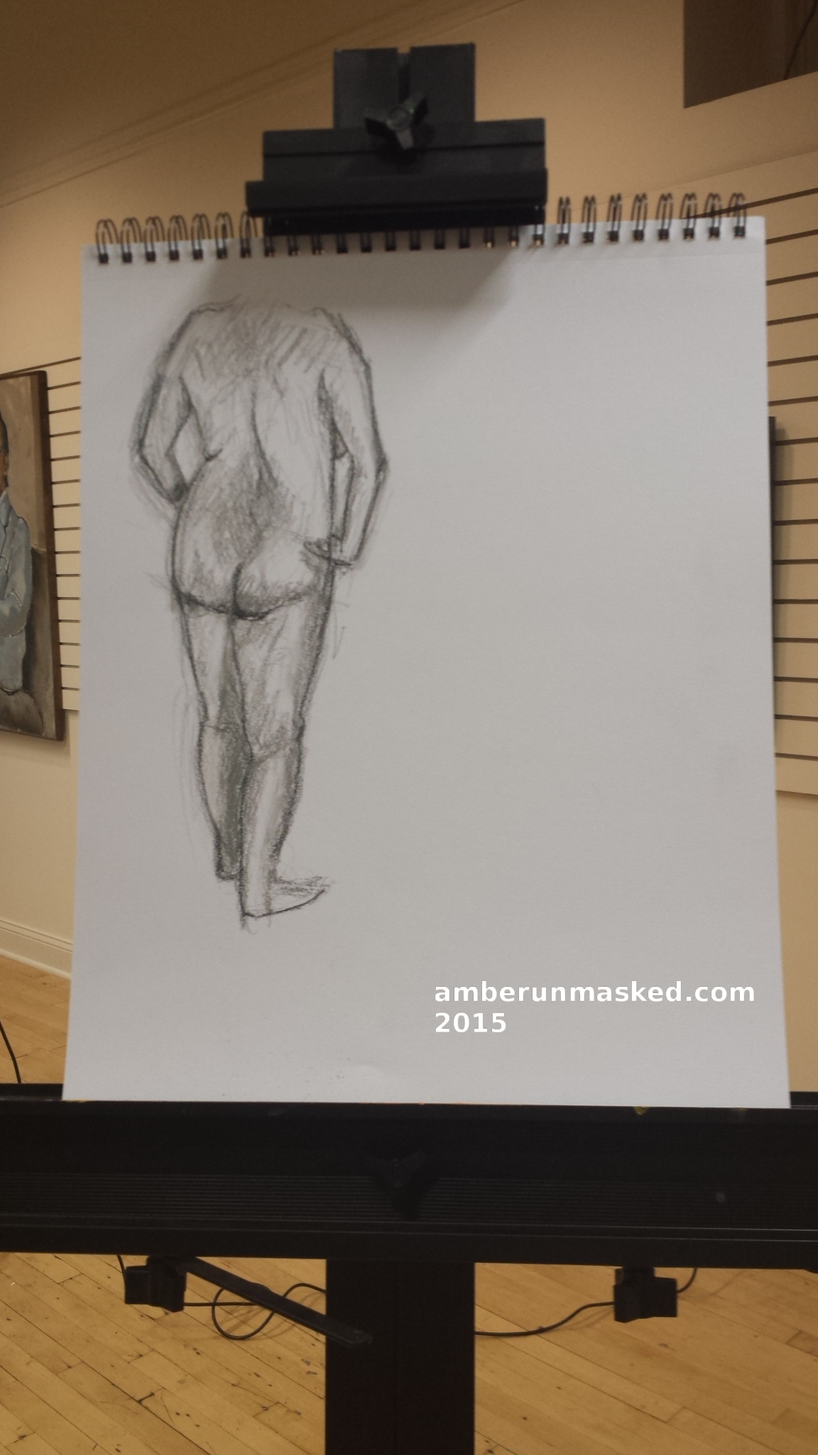 AmberUnmasked Modeling 20160322_newton-6-wm