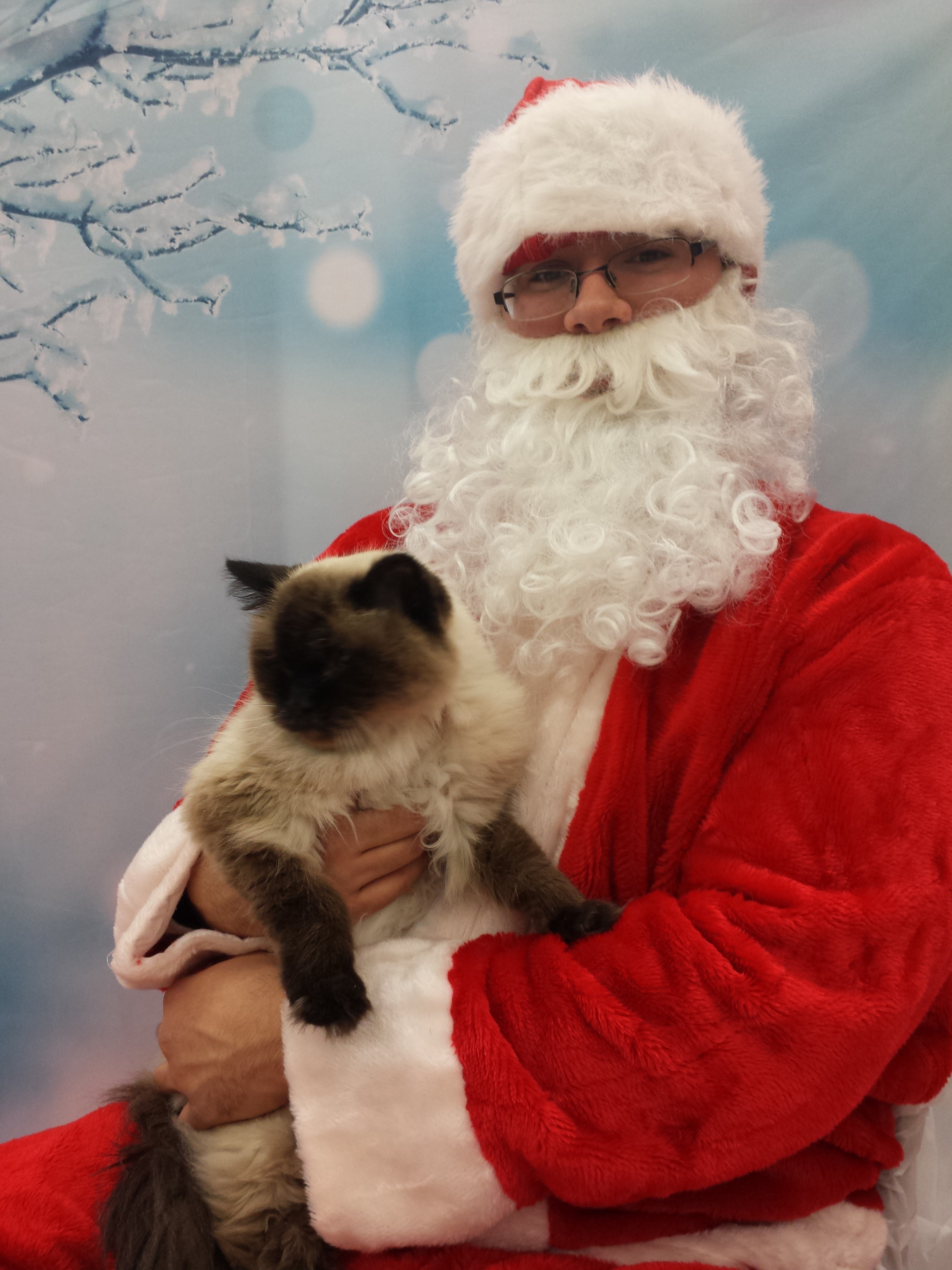 2014 caico santa petco