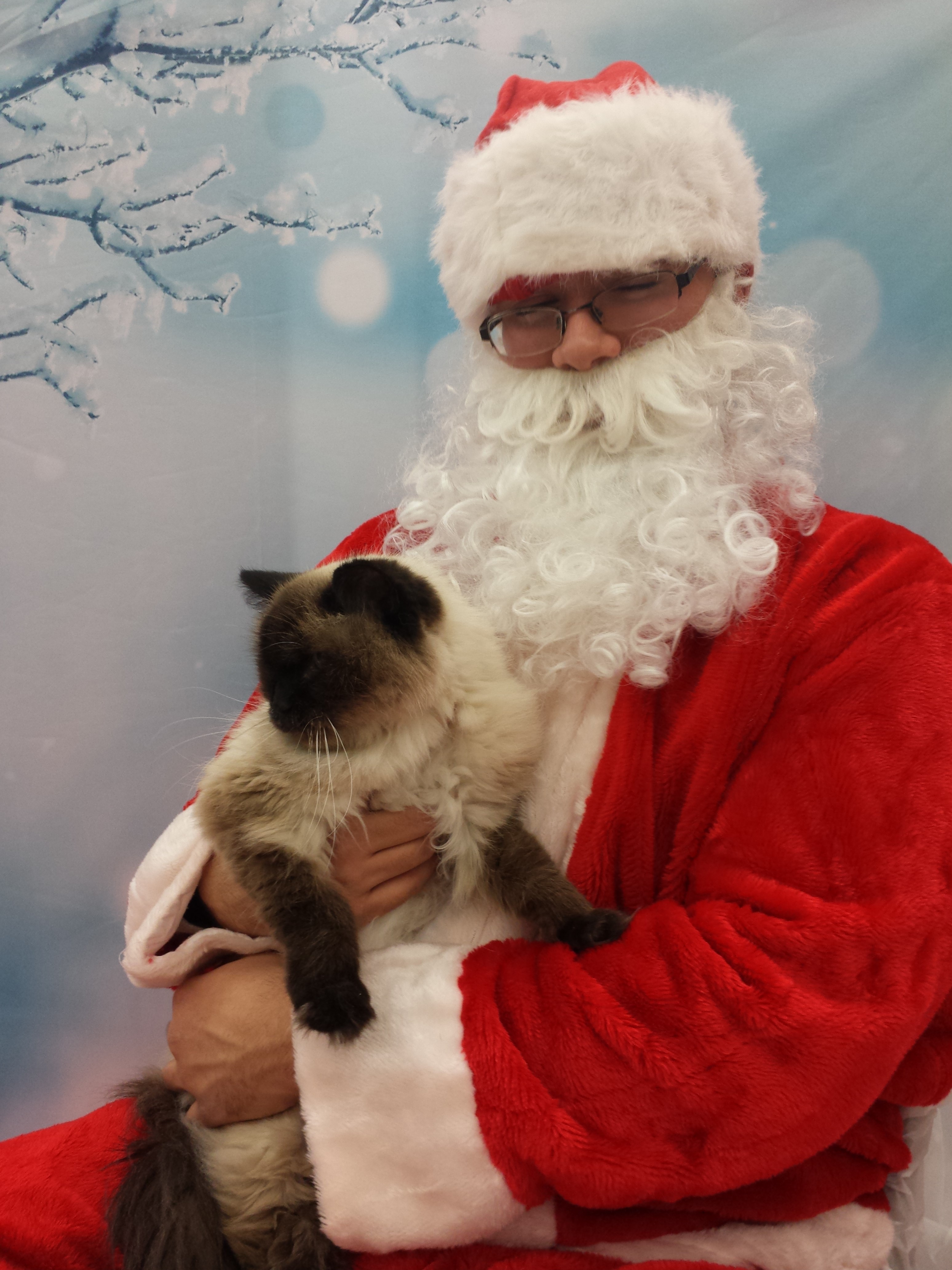 2014 caico santa petco