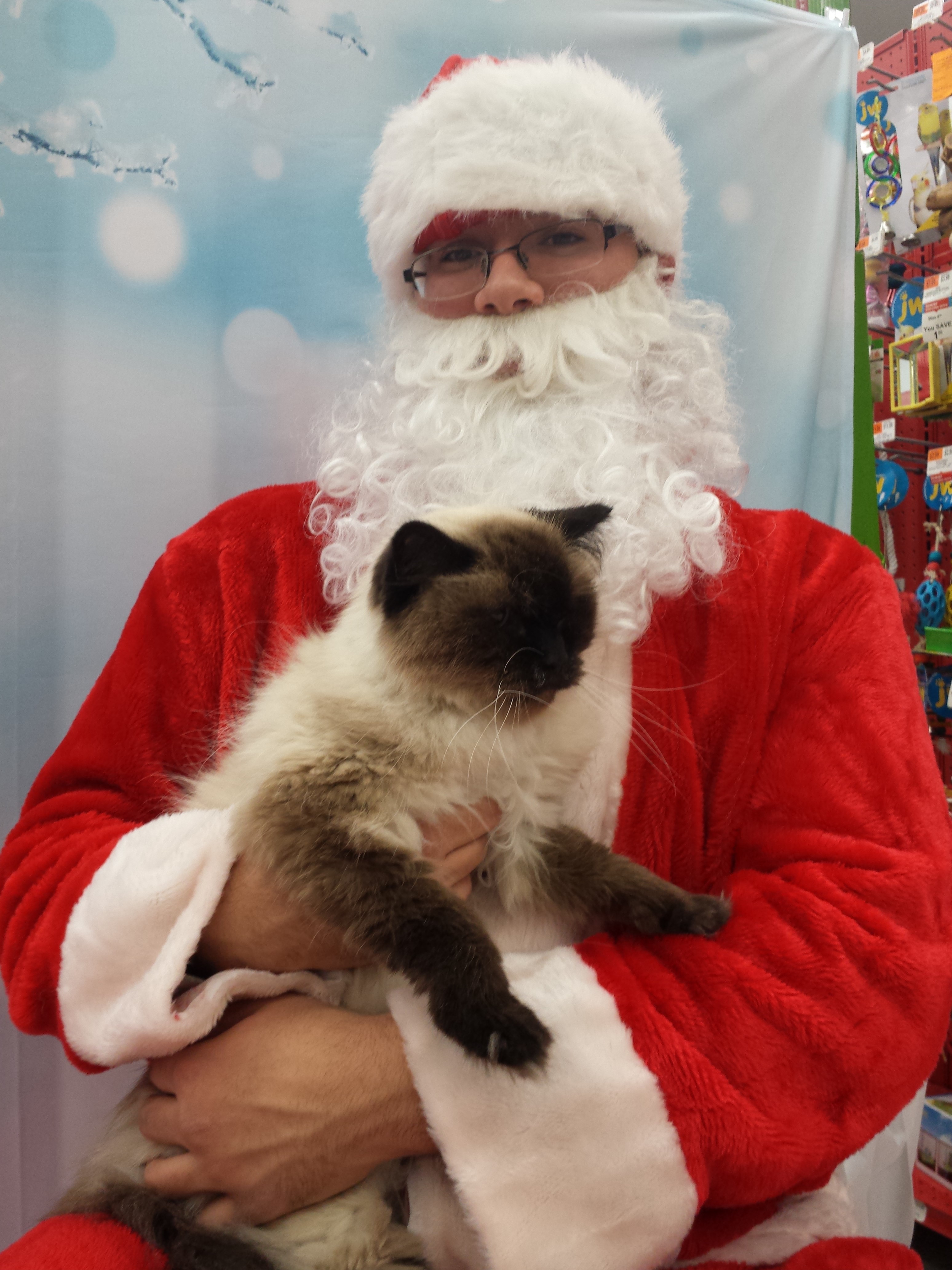 2014 caico santa petco