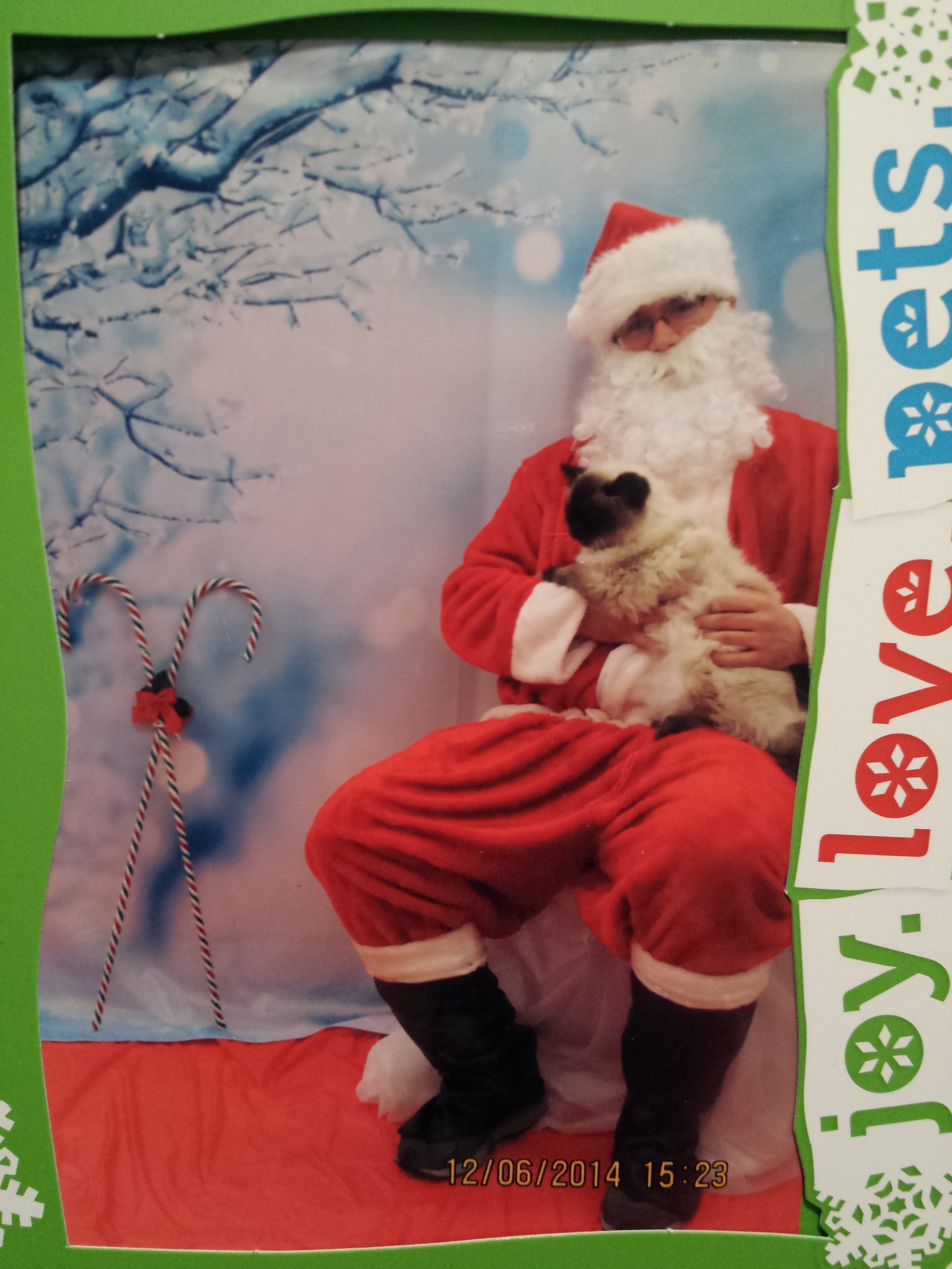 2014 caico santa petco