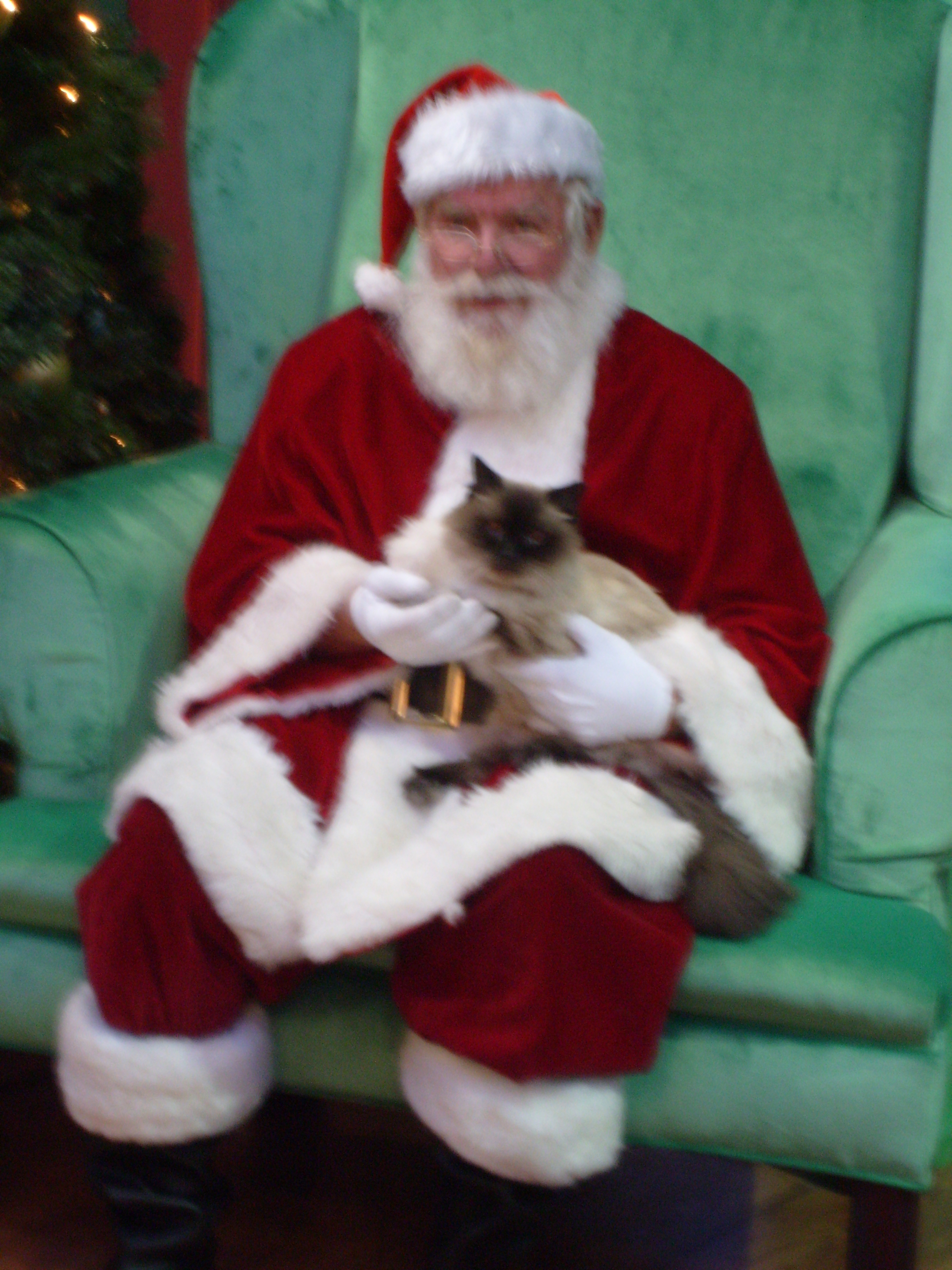 caico-santa 022