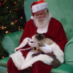 Caico with Santa 2014