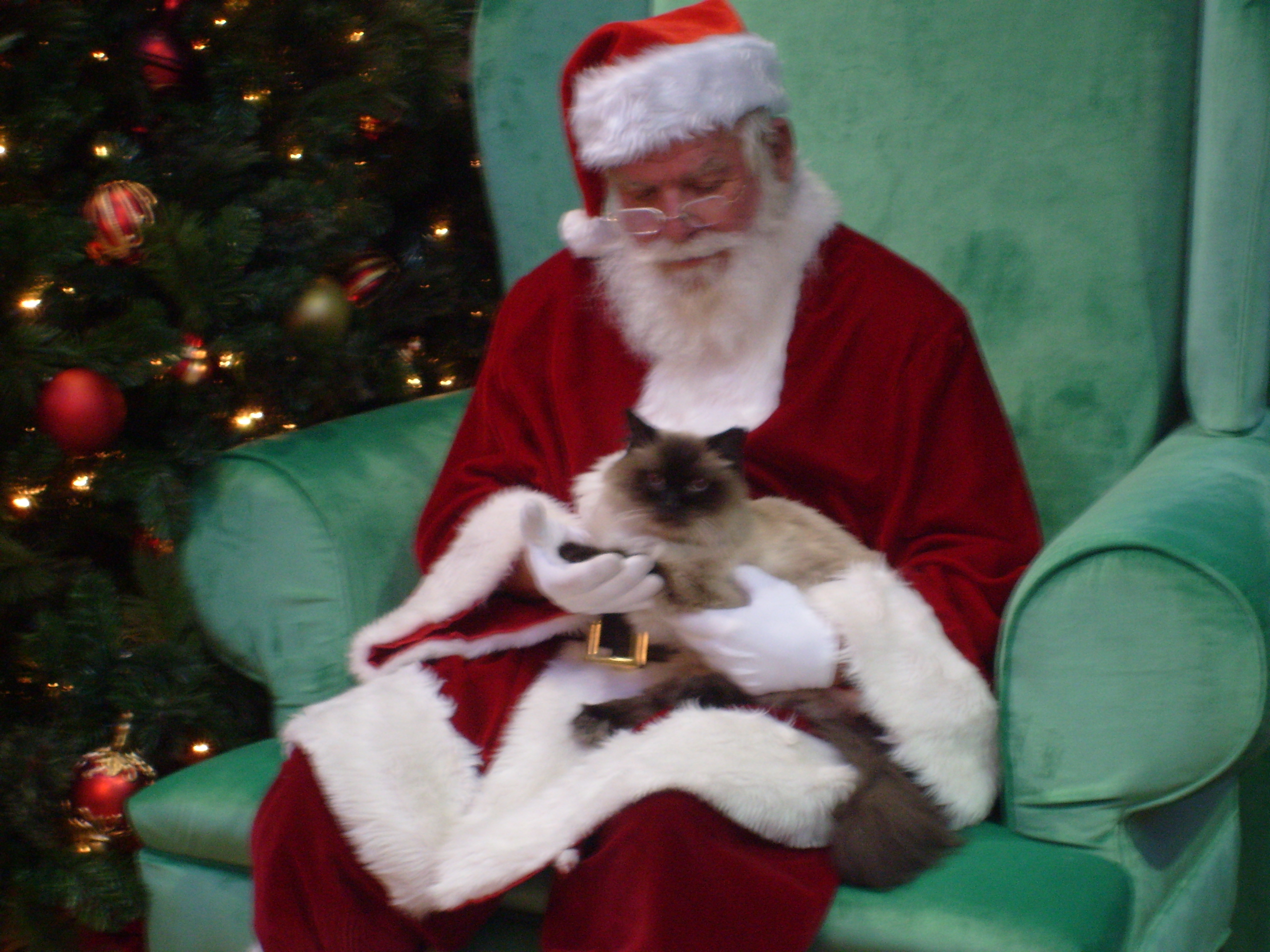 caico-santa 024