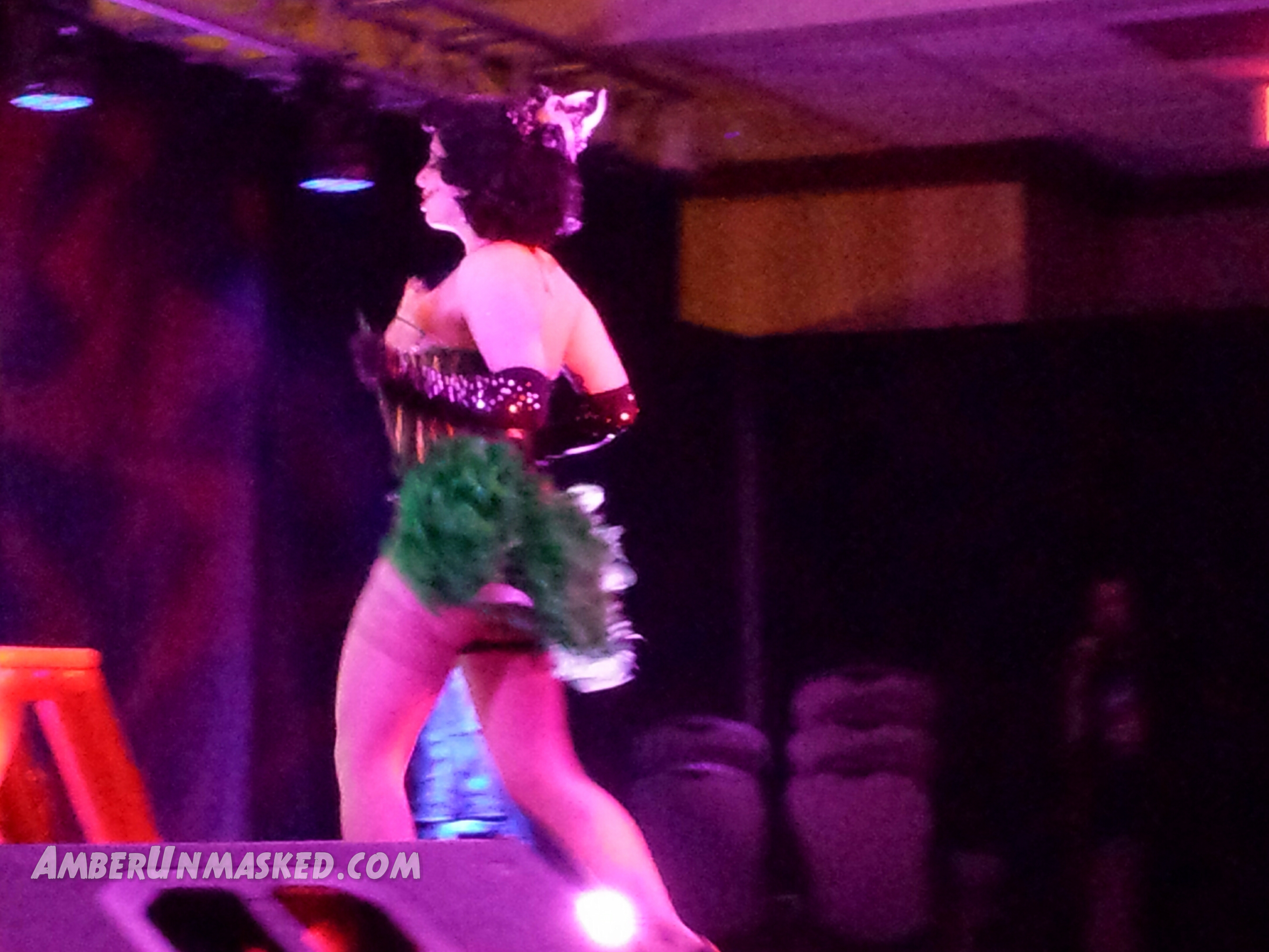 spwf_burlesque_peepshow2015 (27)