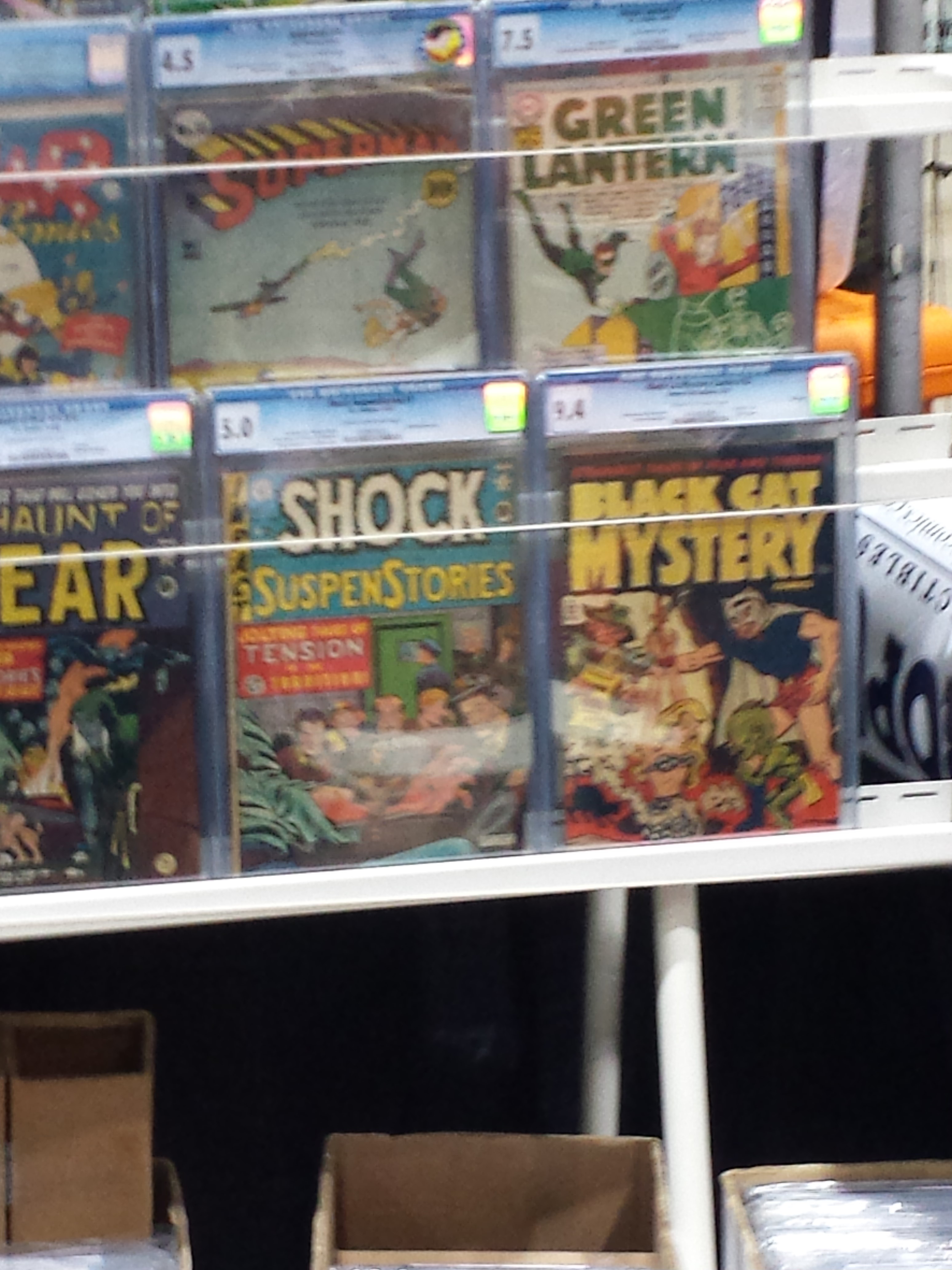 GSCF2015 (13)