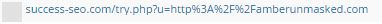 FAKE TRAFFIC REFERRER