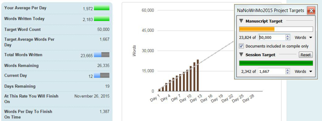 DAY 12: 23,824 WORDS SO FAR