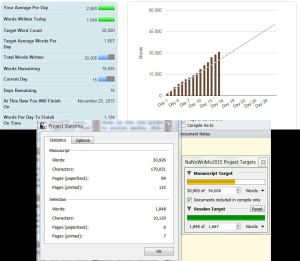 111515_progress nanowrimo