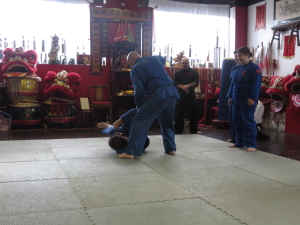 Joe martial arts demo