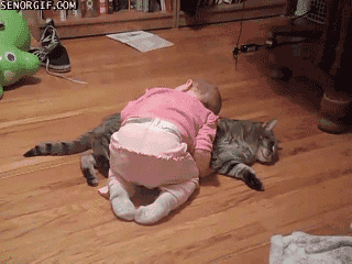 baby and cat gif