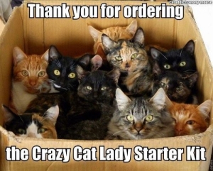 crazycatlady