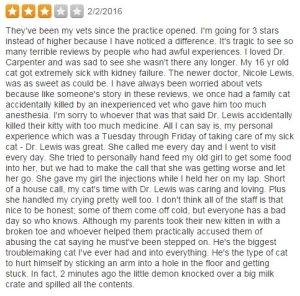 Amber's vet review