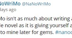 amberunmasked.com nanowrimo coach