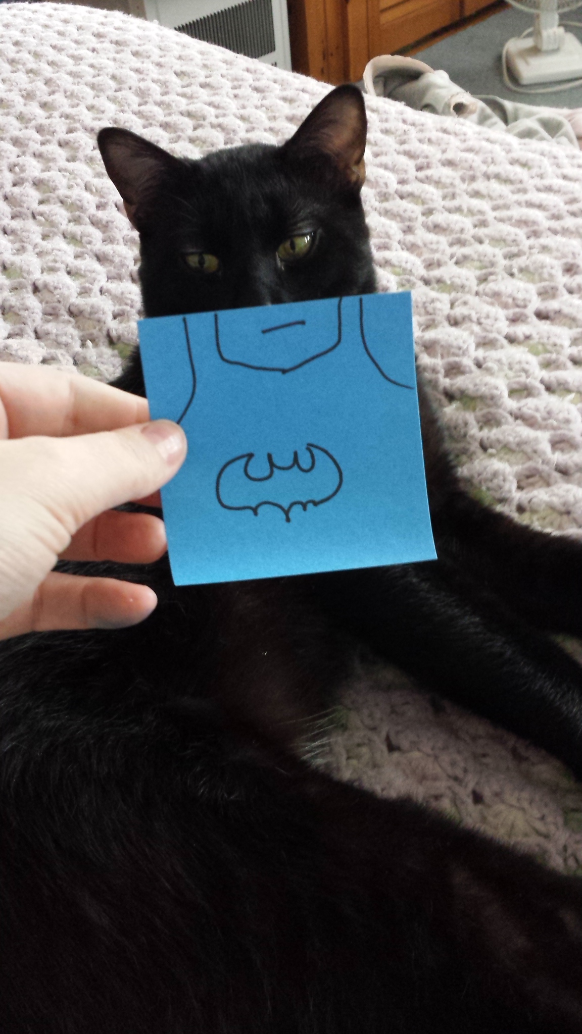 Gus as Batman