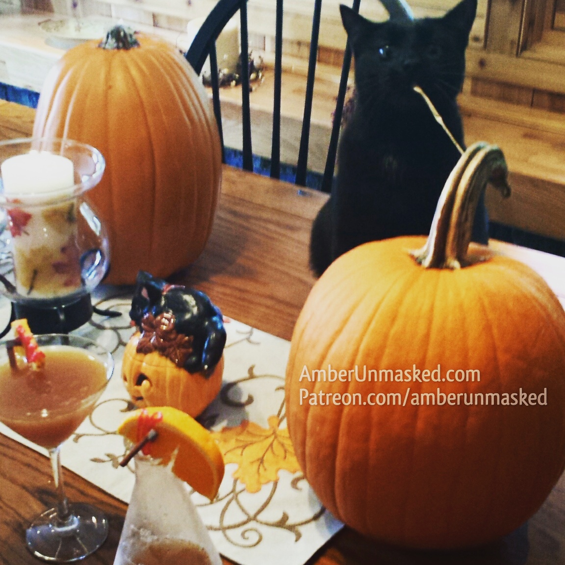 Gus and pumpkins halloween