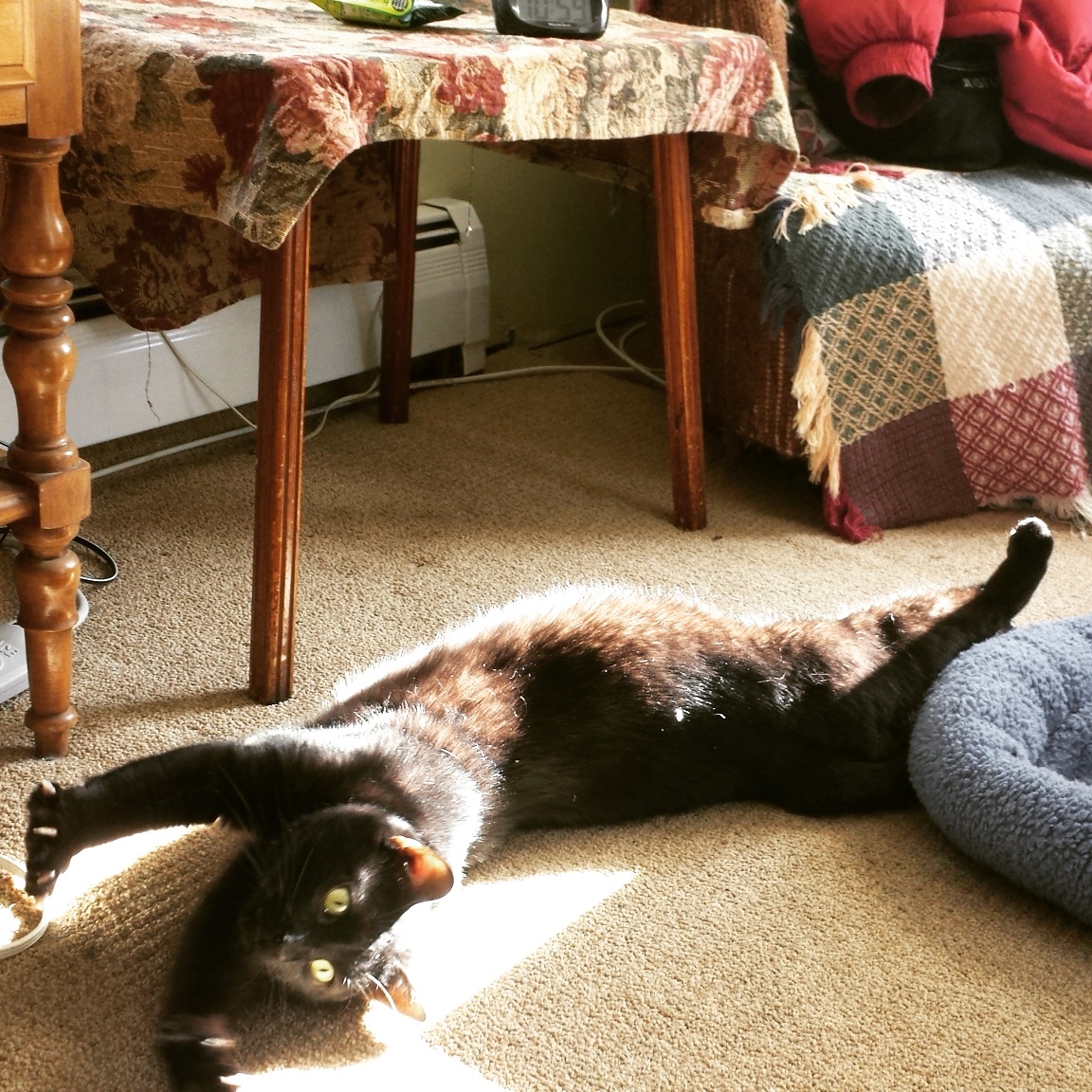 Gus stretching