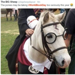 Harry Potter horse cosplay