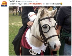 Harry Potter horse cosplay