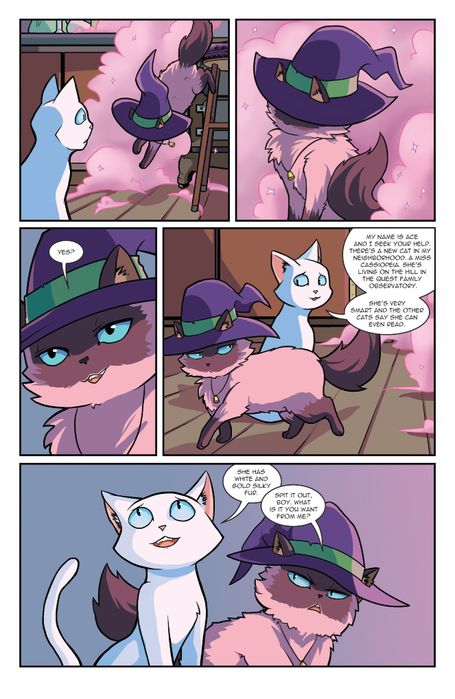 Hero_Cats_V5 PREVIEW-6