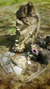 fairy house