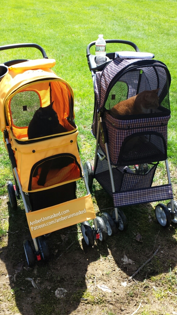 Gus and Ollie in buggies