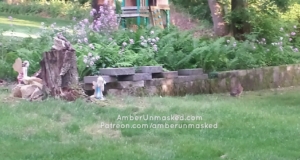  bunny by fairy garden