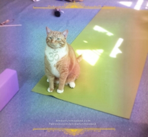 Oliver on yoga mat