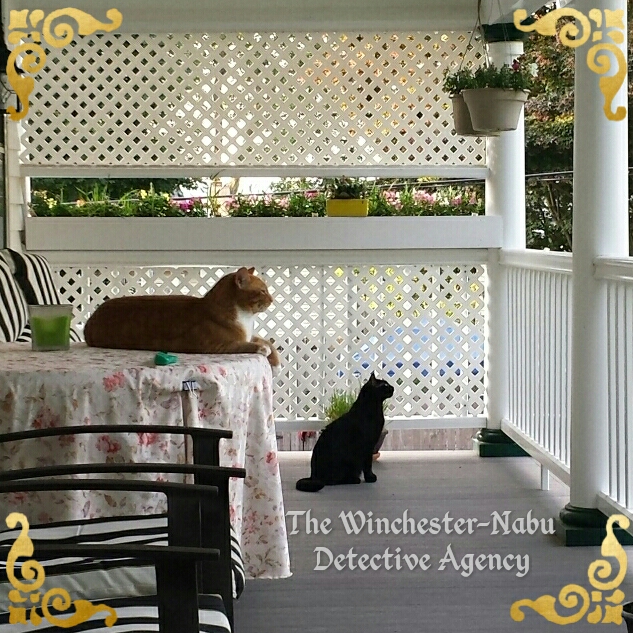 Ollie and Gus Winchester-Nabu Detective Agency 2017-06-19_06.37.12_wm