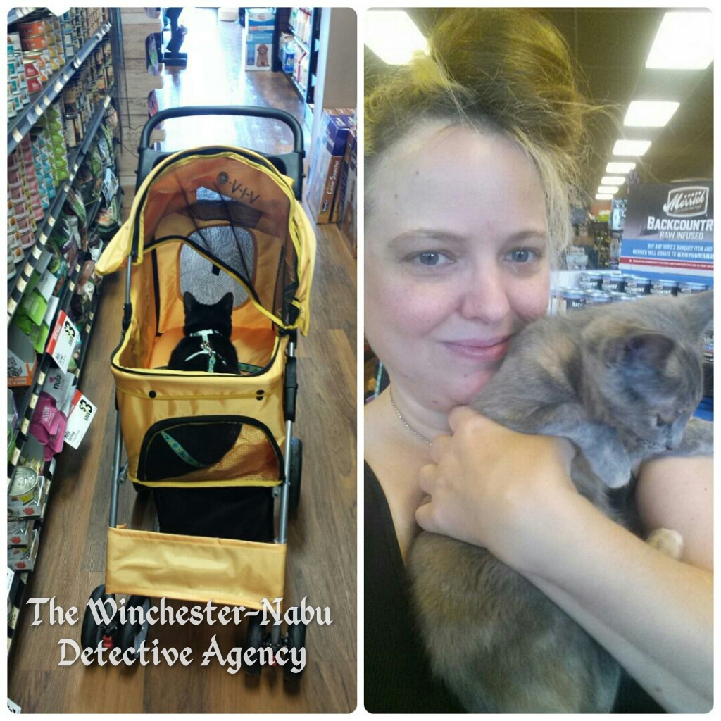 Gus in buggy and Amber with kitten