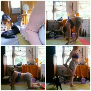 Yoga Gus