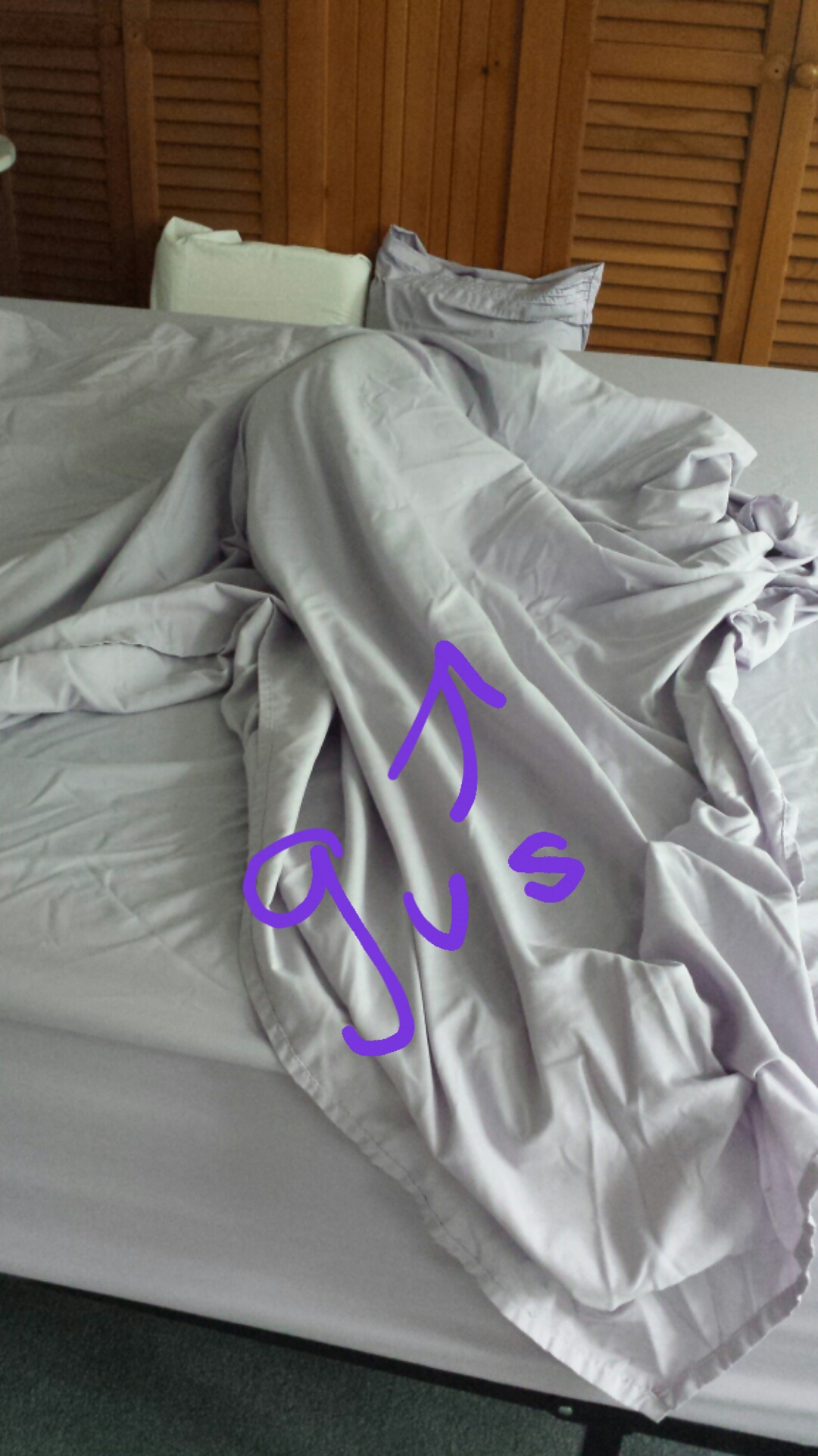 20170708 Gus in bed