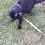 Gus Nabu with snake