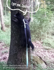 Gus tree climbing