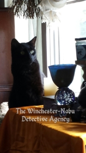 Gus and crystal ball