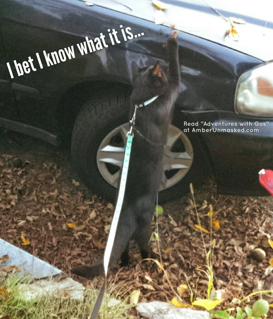 Gus ghostcar 2017-09-22_08.38.41_wm