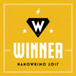 NaNoWriMo 2017