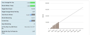 NaNoWriMo_110817_stats