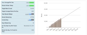 NaNoWriMo_111217_stats