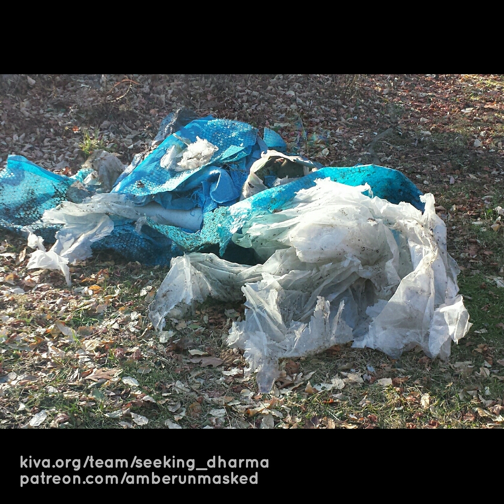 20171221_LitterCleanup (4)