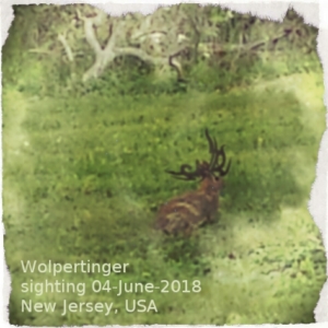 wolpertinger