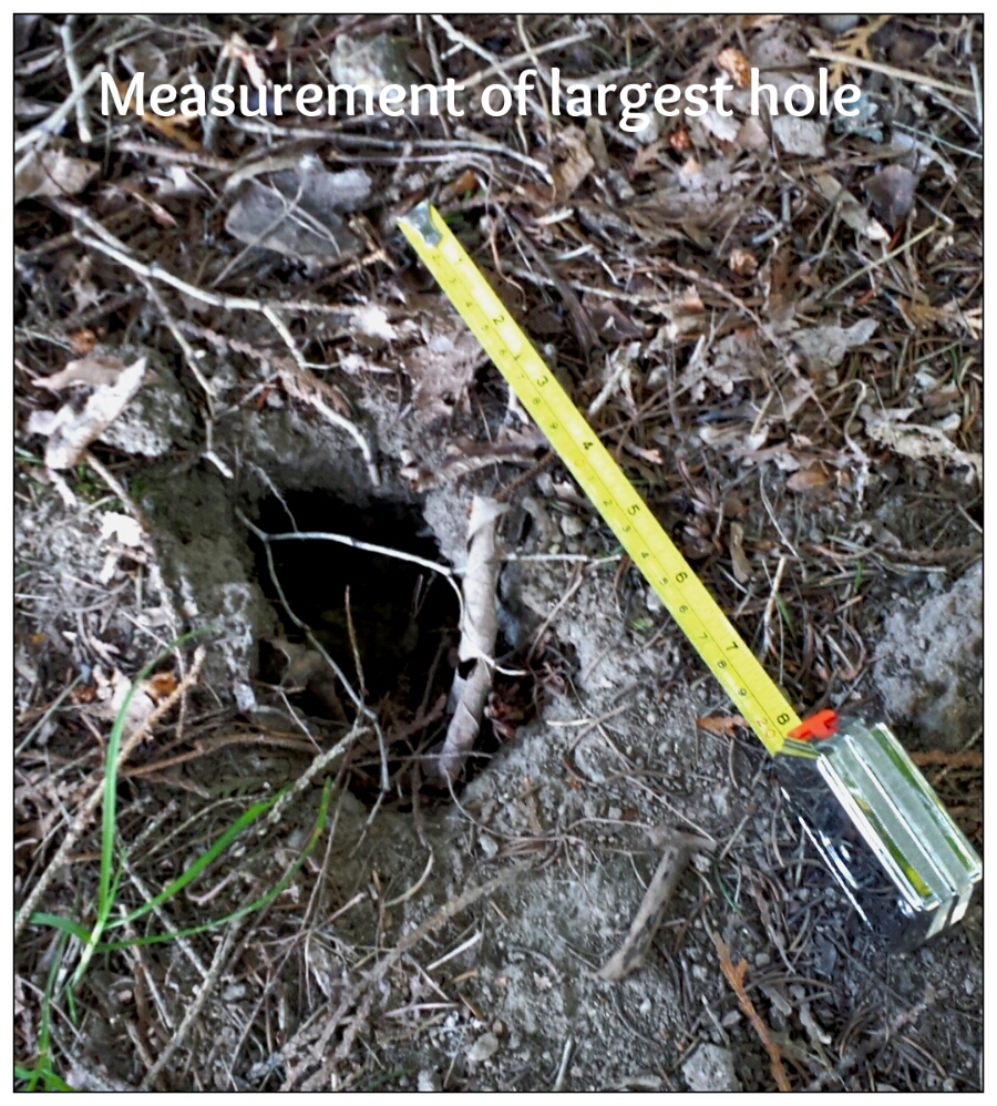 20180626 mystery holes